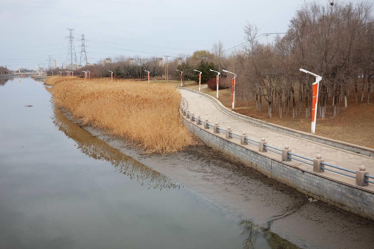 寻找春天的足迹