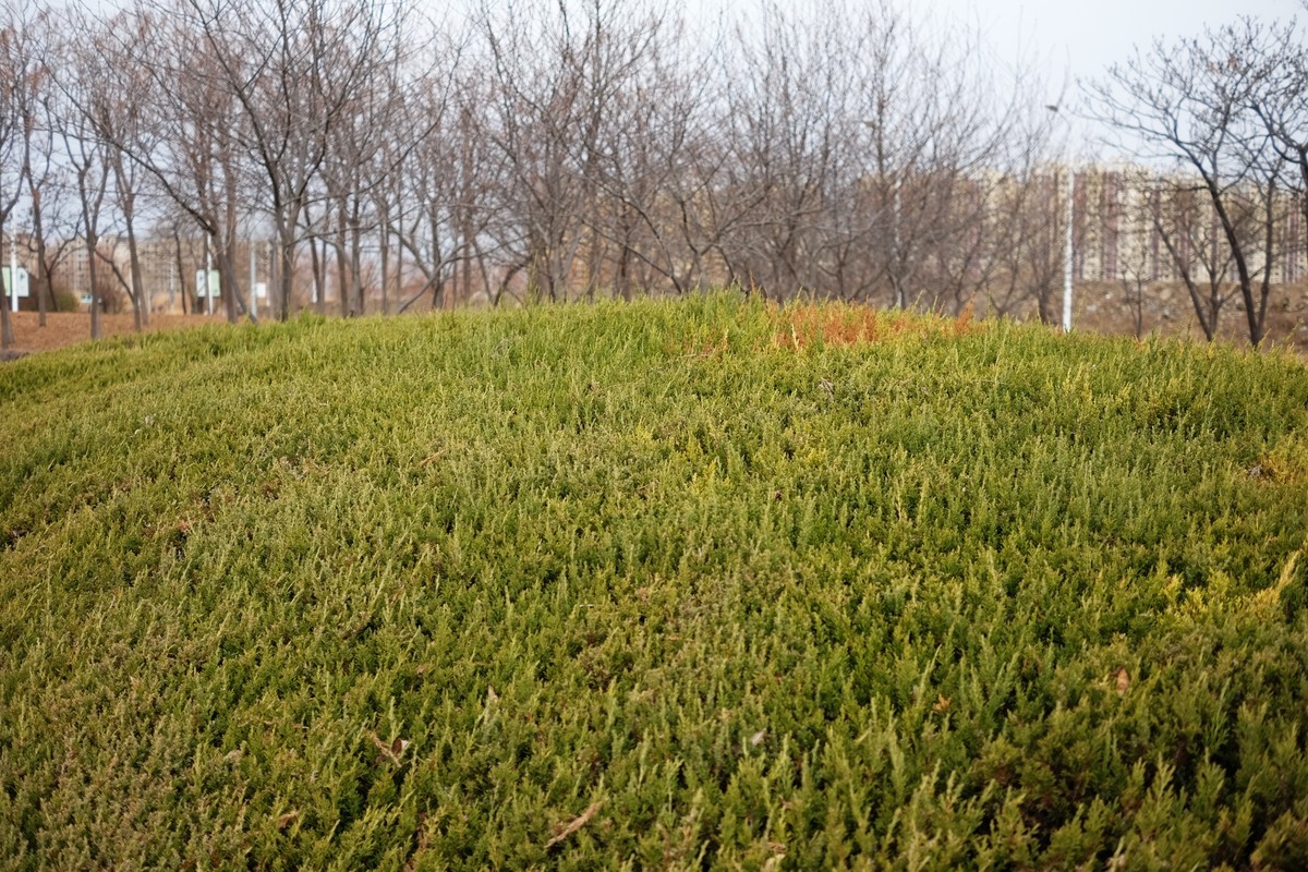 寻找春天的足迹