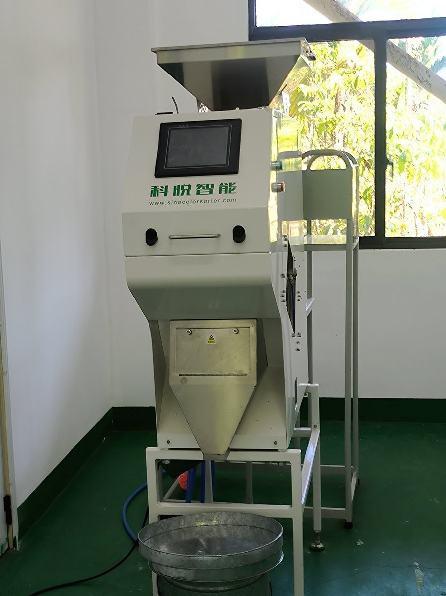 2024夏 海南环岛行（67）体验隆苑咖啡制作流程