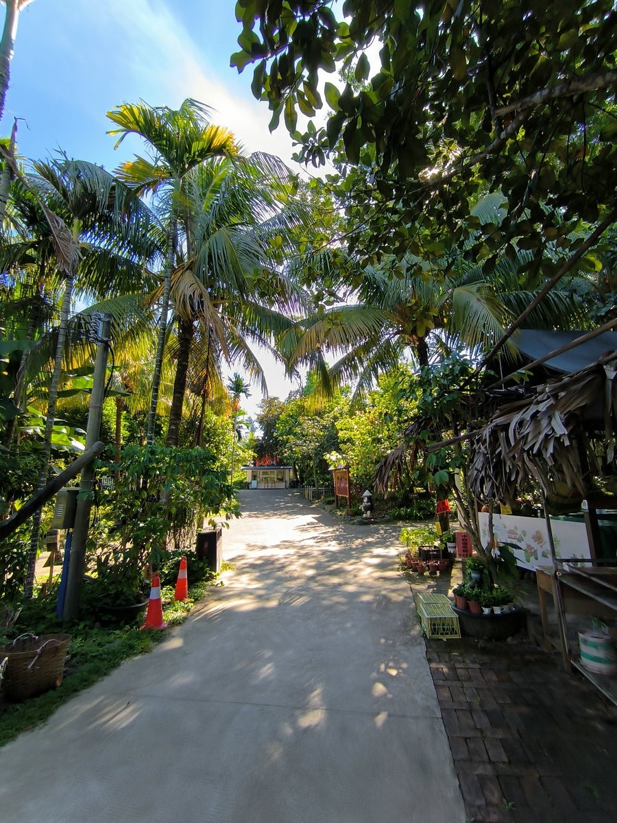 2024夏 海南环岛行（67）体验隆苑咖啡制作流程