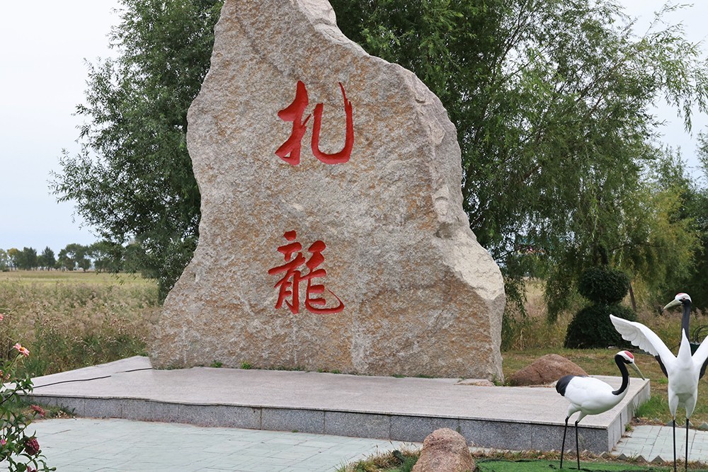 丹顶鹤的家园看丹顶鹤