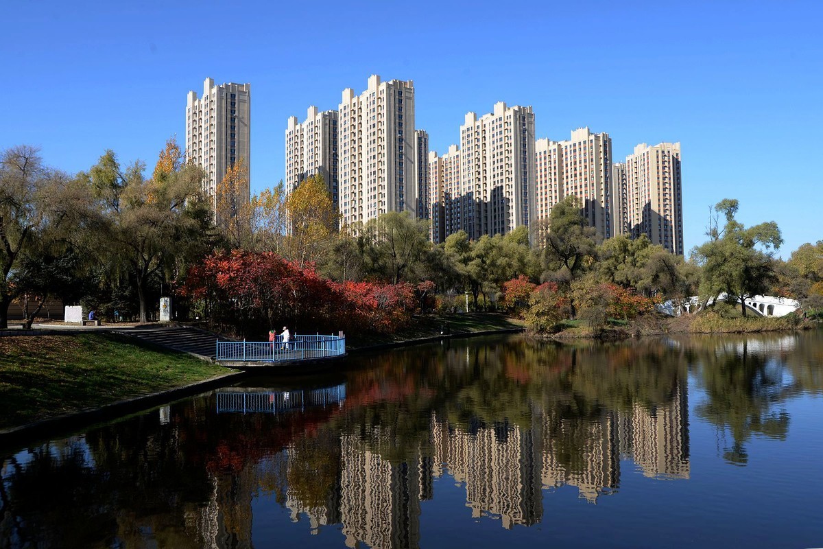 阳明公园秋色（完）