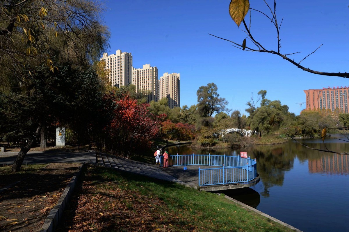 阳明公园秋色（完）