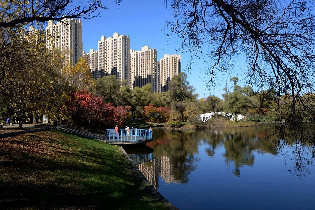 阳明公园秋色（完）