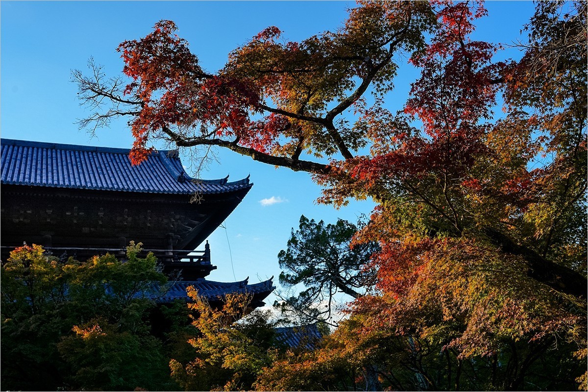 2025年第0006贴-京都南禅寺旅拍（0102）