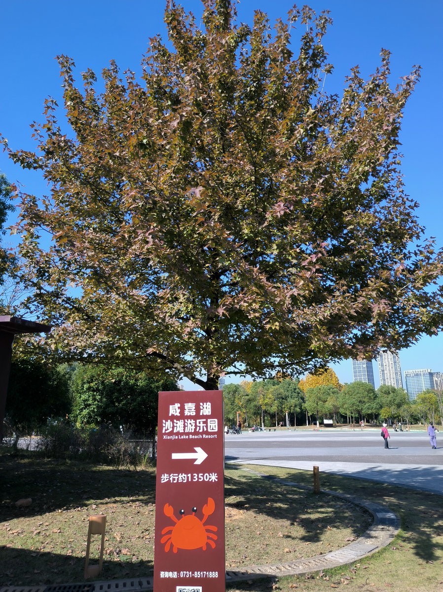 漫步星城 走街串巷（574）咸嘉湖景区