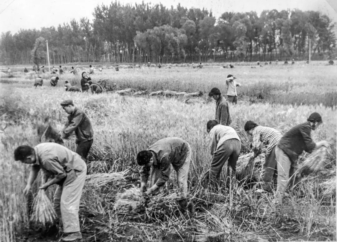 上世纪70年代的工人生活影像片段