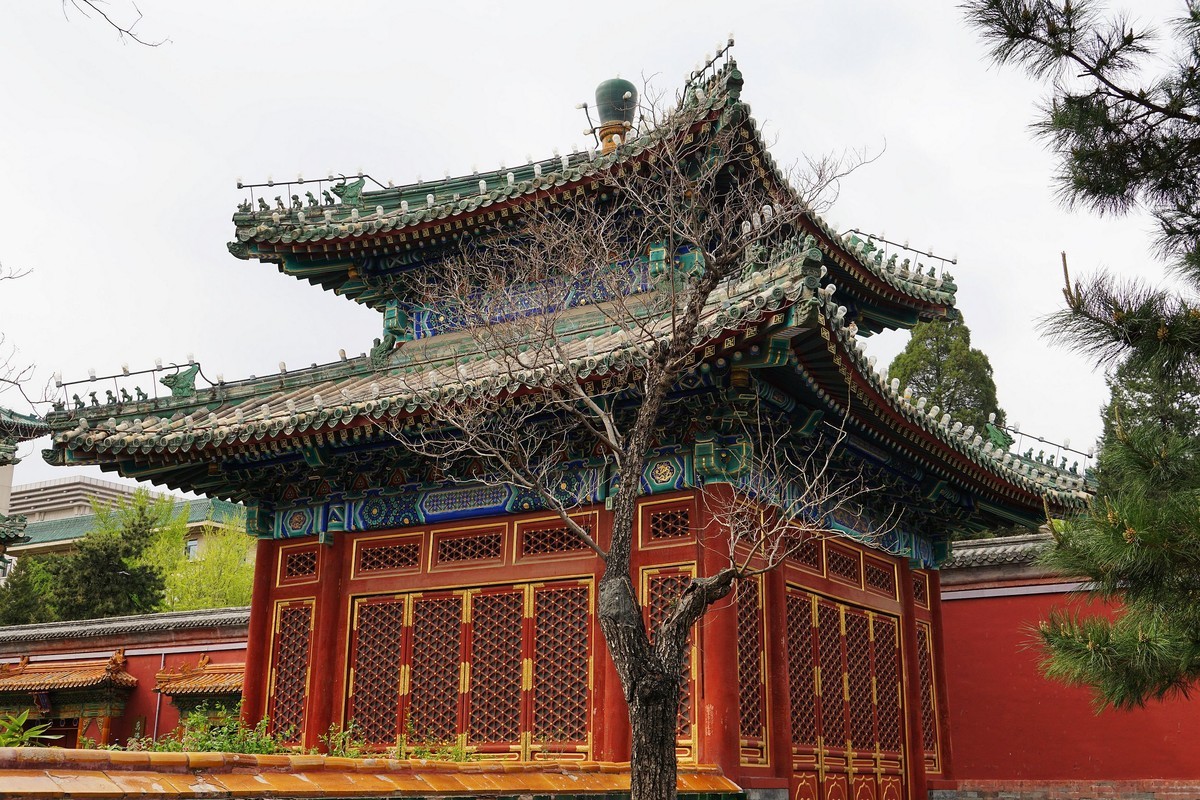 北海的绿瓦红墙