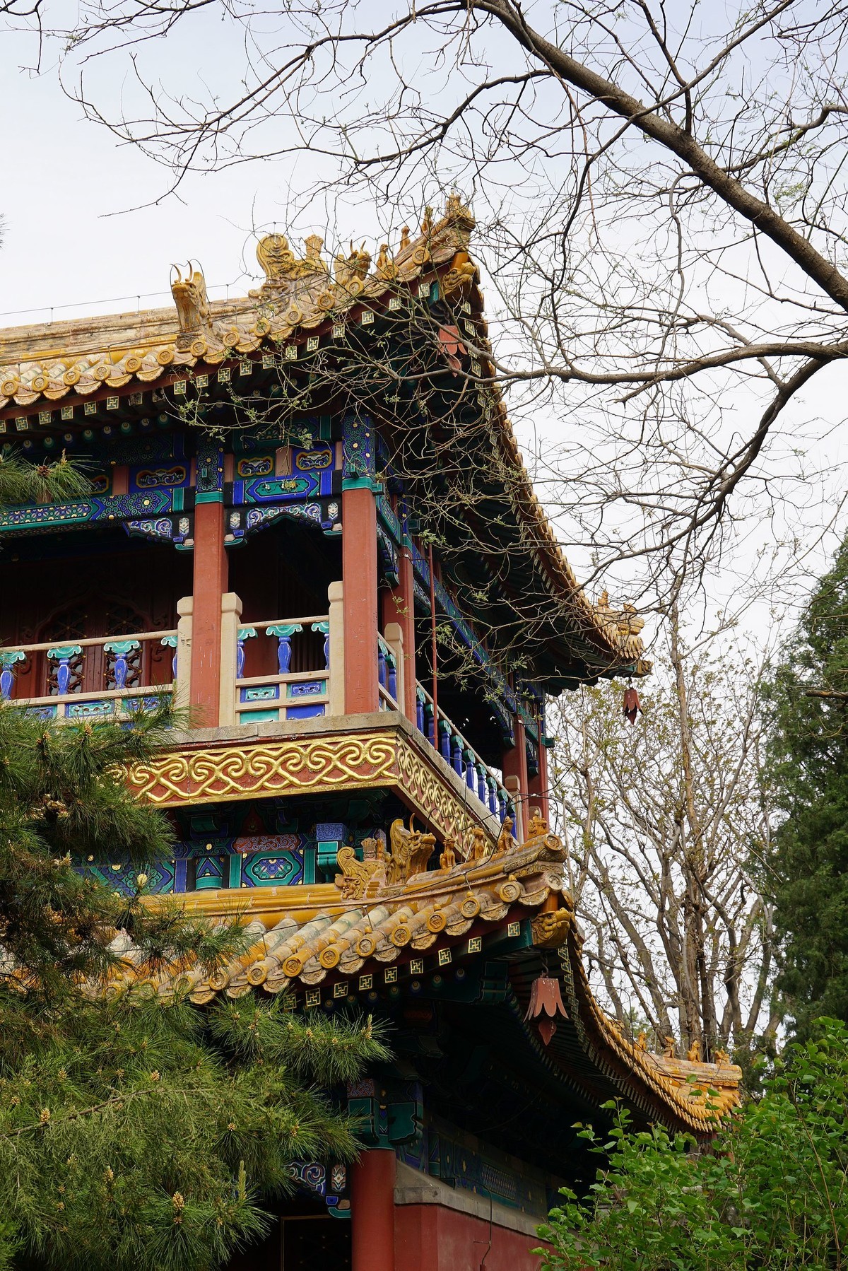 北海的绿瓦红墙