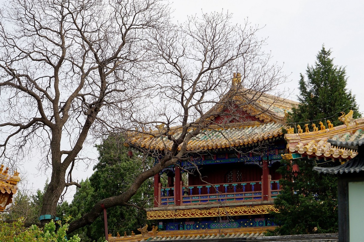 北海的绿瓦红墙