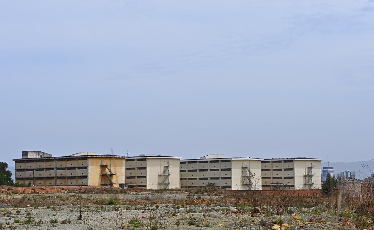 2025初春步行随拍 （贰拾捌）