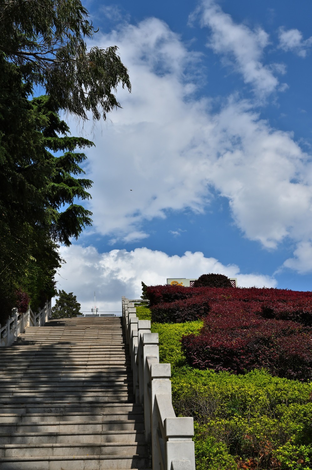 2025初春步行随拍 （贰拾捌）