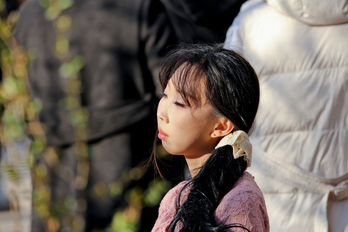 杂拍——邂逅春天