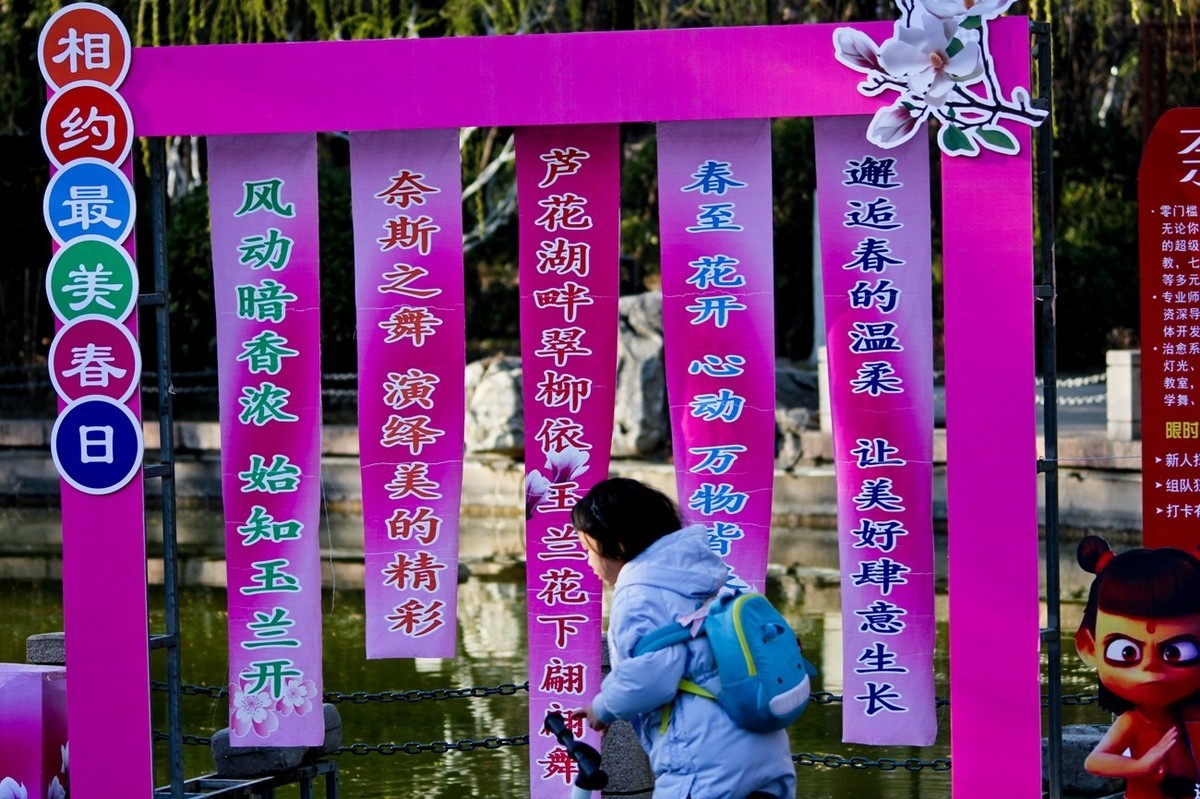 杂拍——邂逅春天