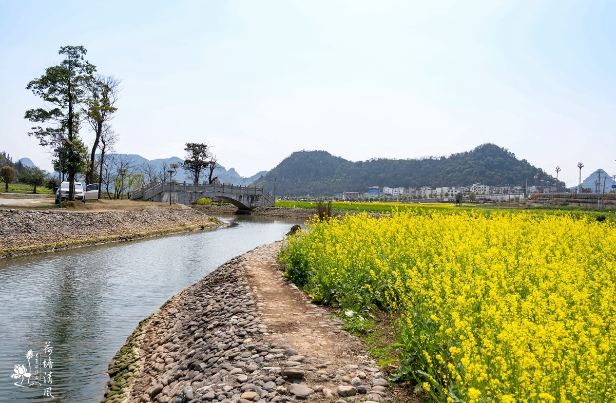 安龙县、木咱镇油菜花。