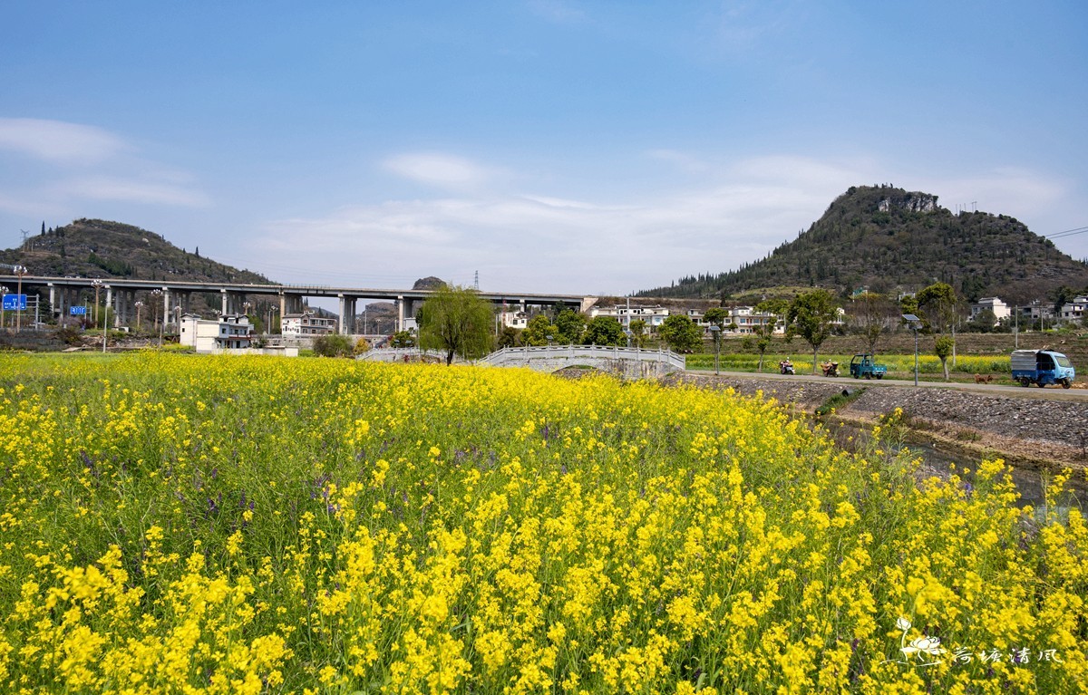 安龙县、木咱镇油菜花。