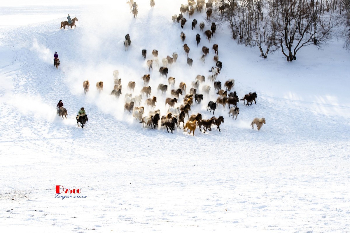 策马奔腾（75）