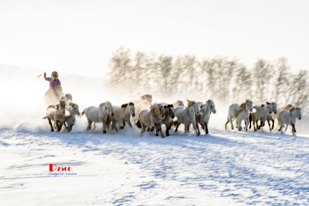 策马奔腾（75）