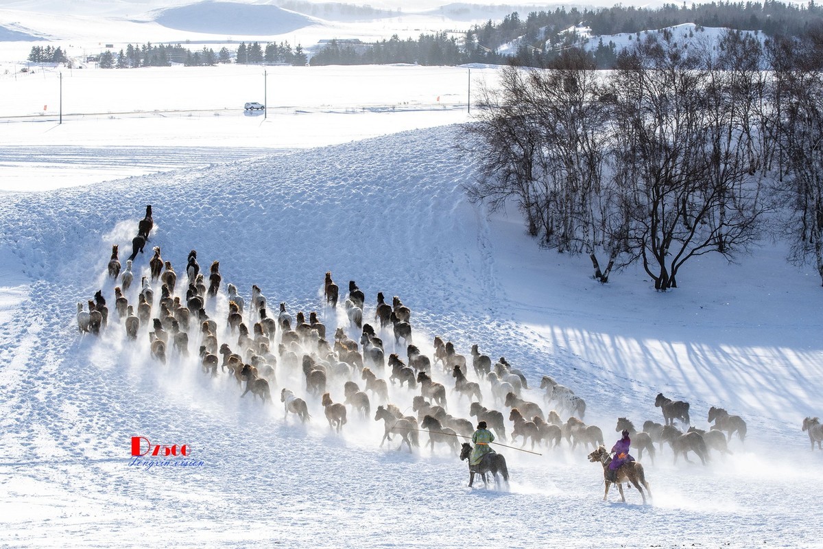 策马奔腾（75）