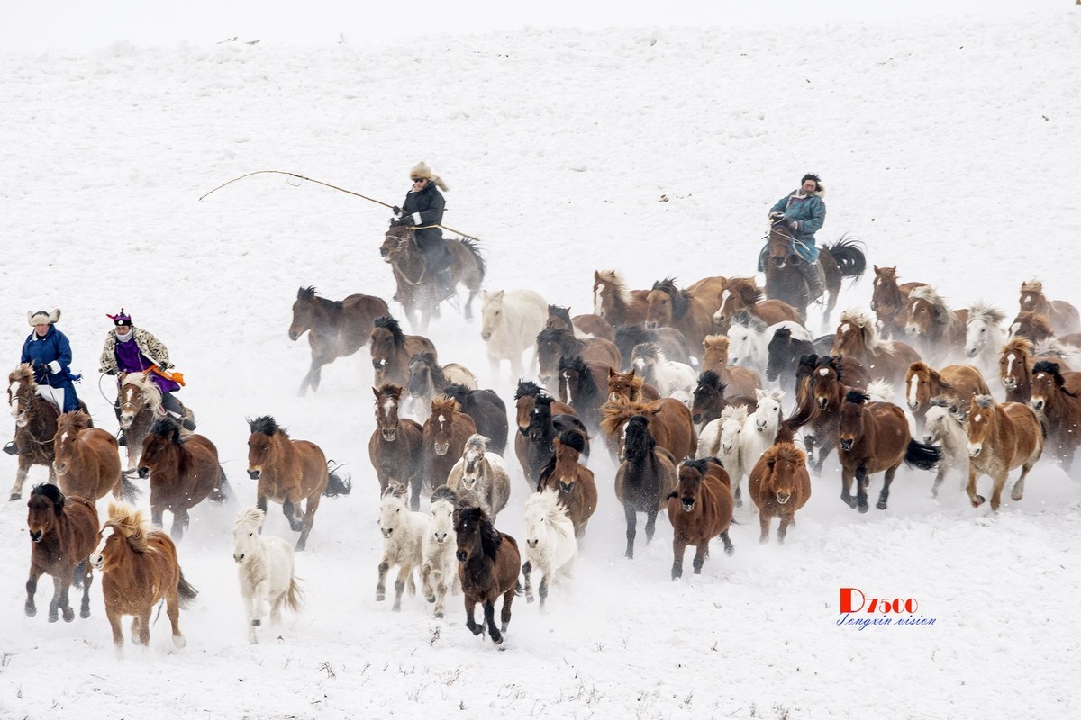 策马奔腾（75）