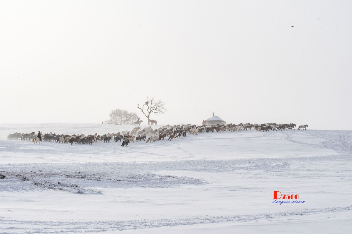 策马奔腾（75）