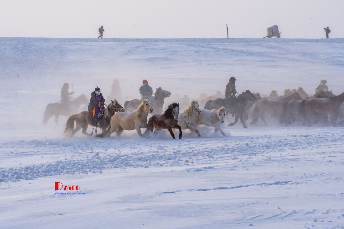 策马奔腾（75）
