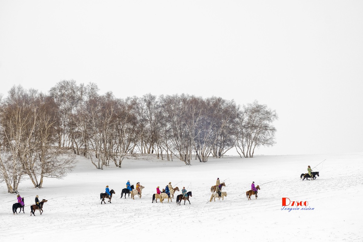 策马奔腾（75）