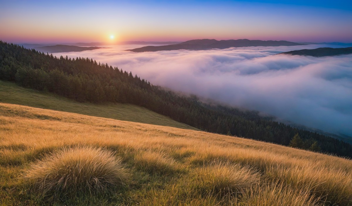 感受大自然的纯净与美好