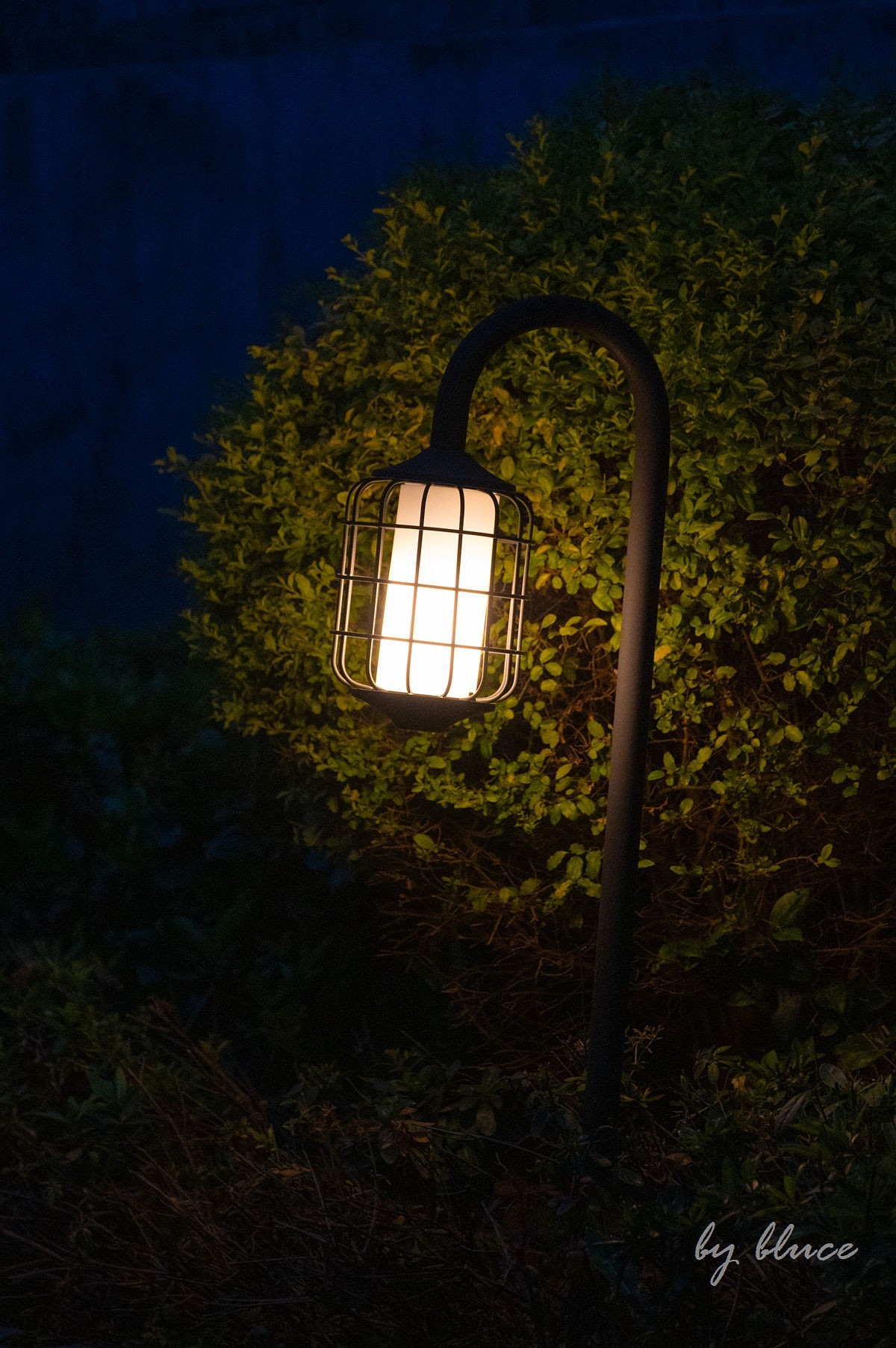 夜幕降临下的干河街（下）