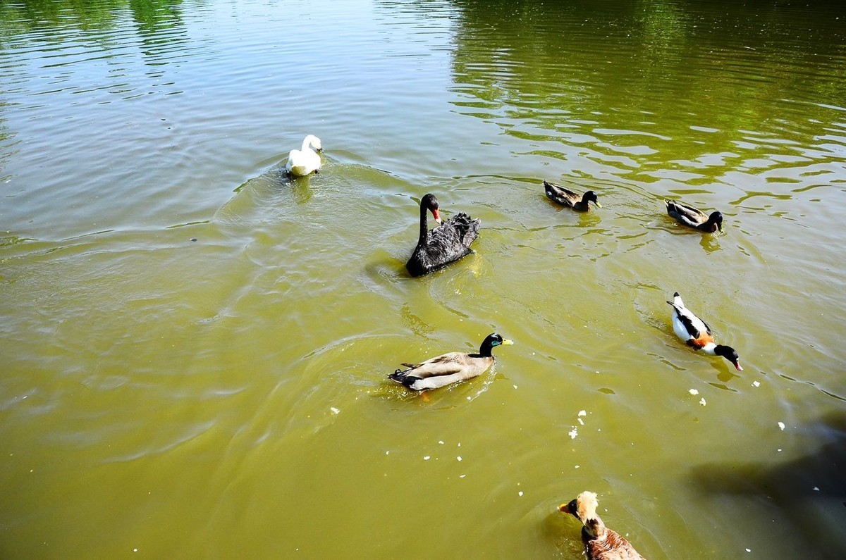 风光美景【3150】