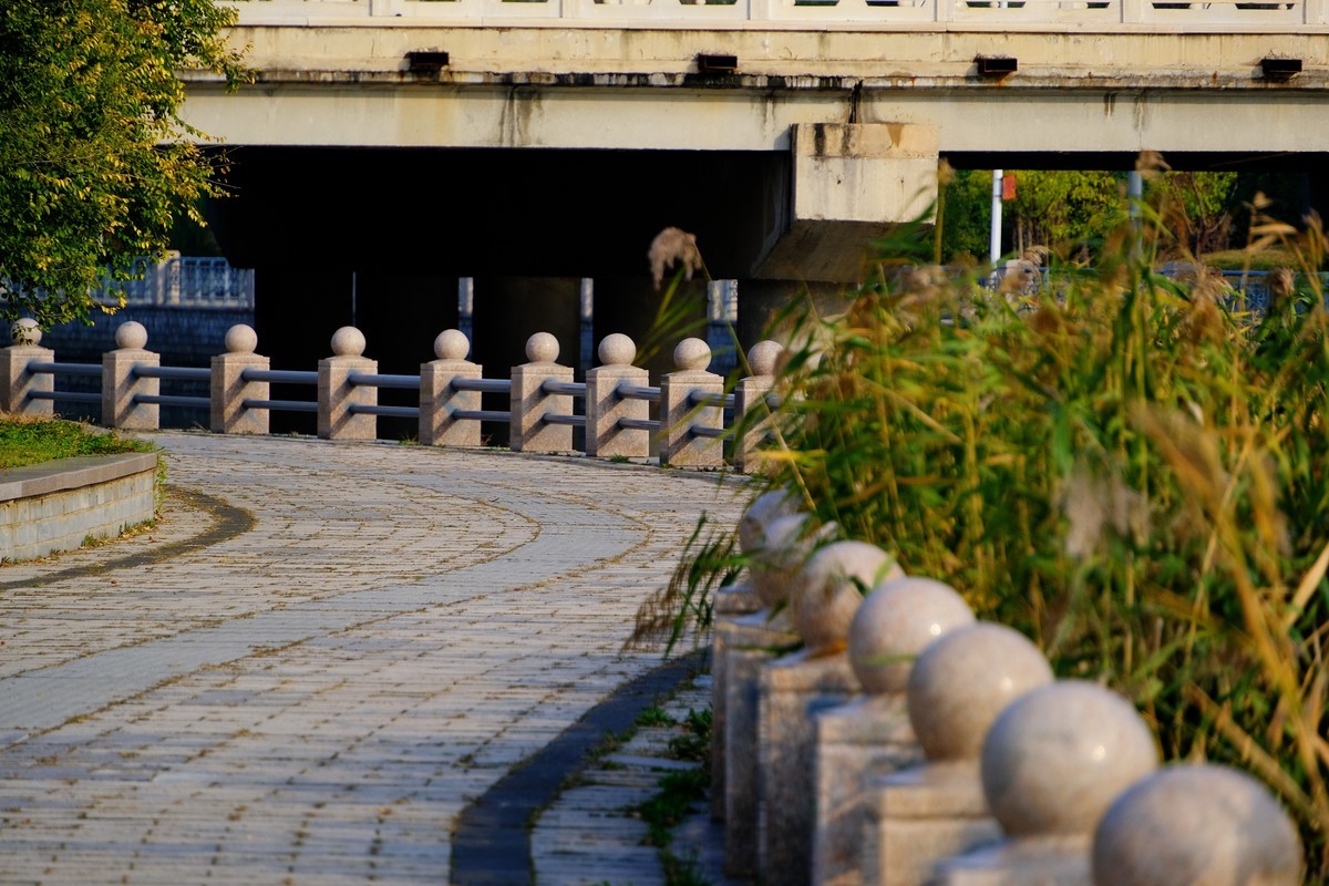 秋意浓，寒意袭，转眼年将尽…