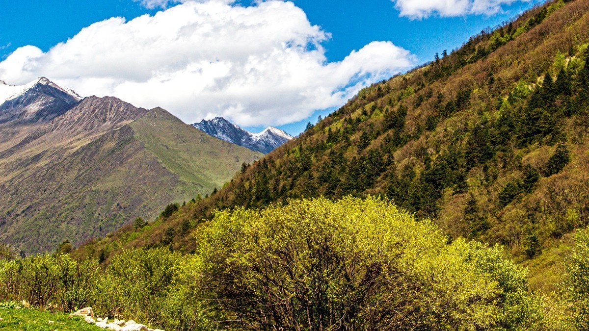 川西高原行摄--路拍【2】