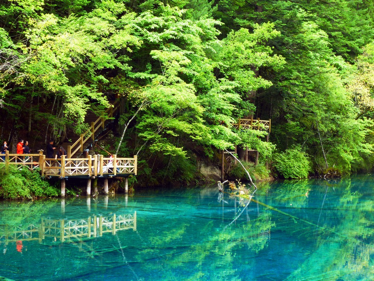 人间仙境 水中贵族---九寨沟（5）