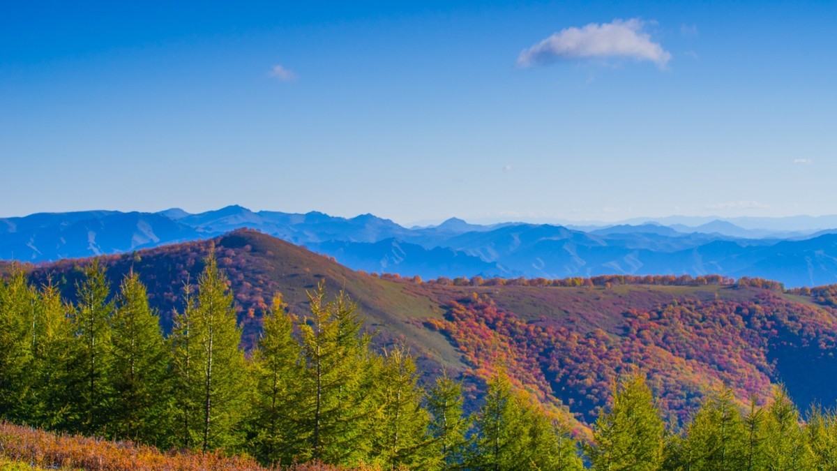 走上高高的大兴安岭