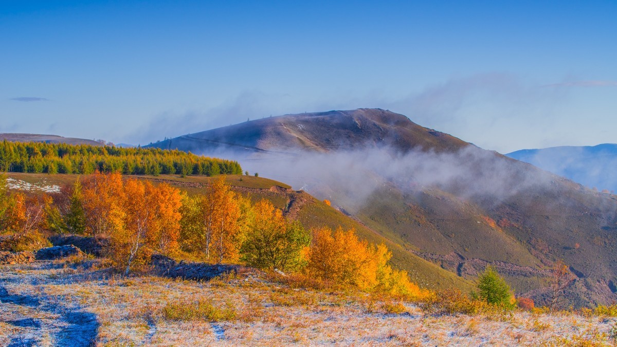 走上高高的大兴安岭