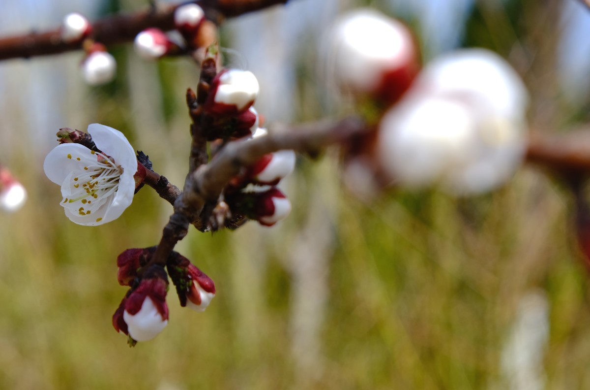 换机器了回来玩玩