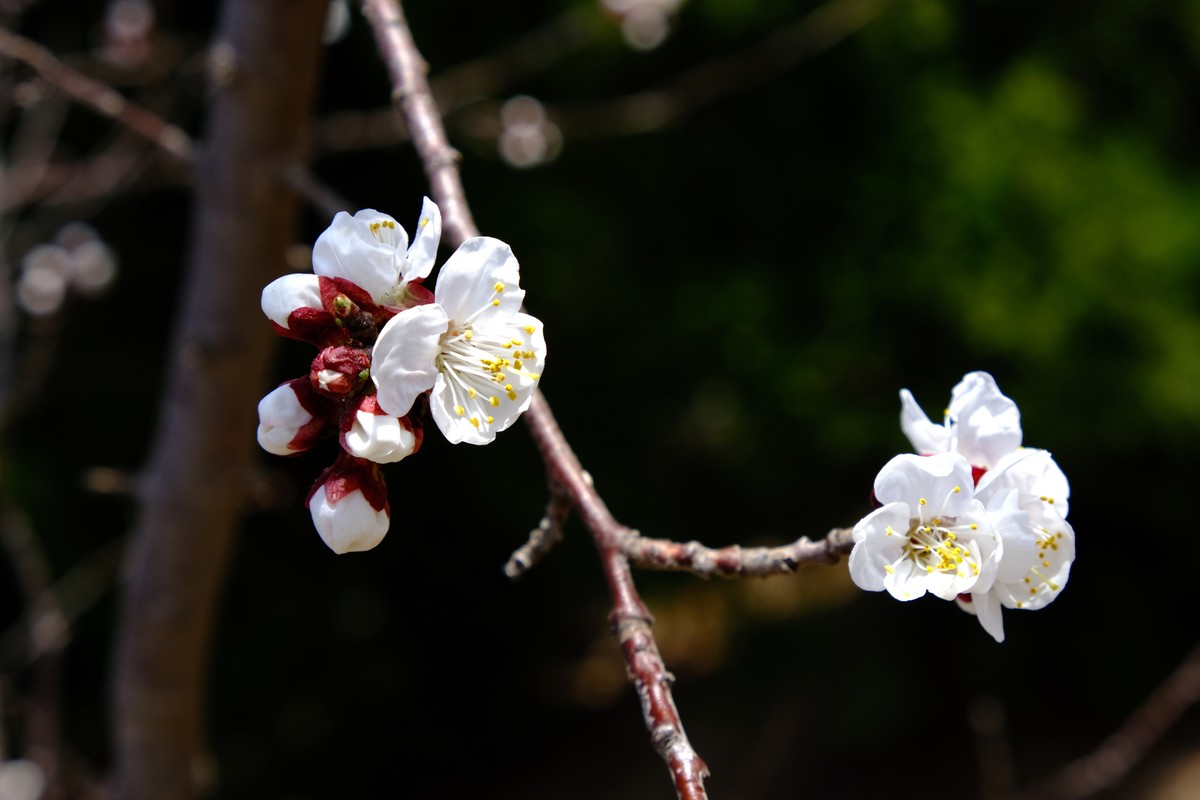 换机器了回来玩玩