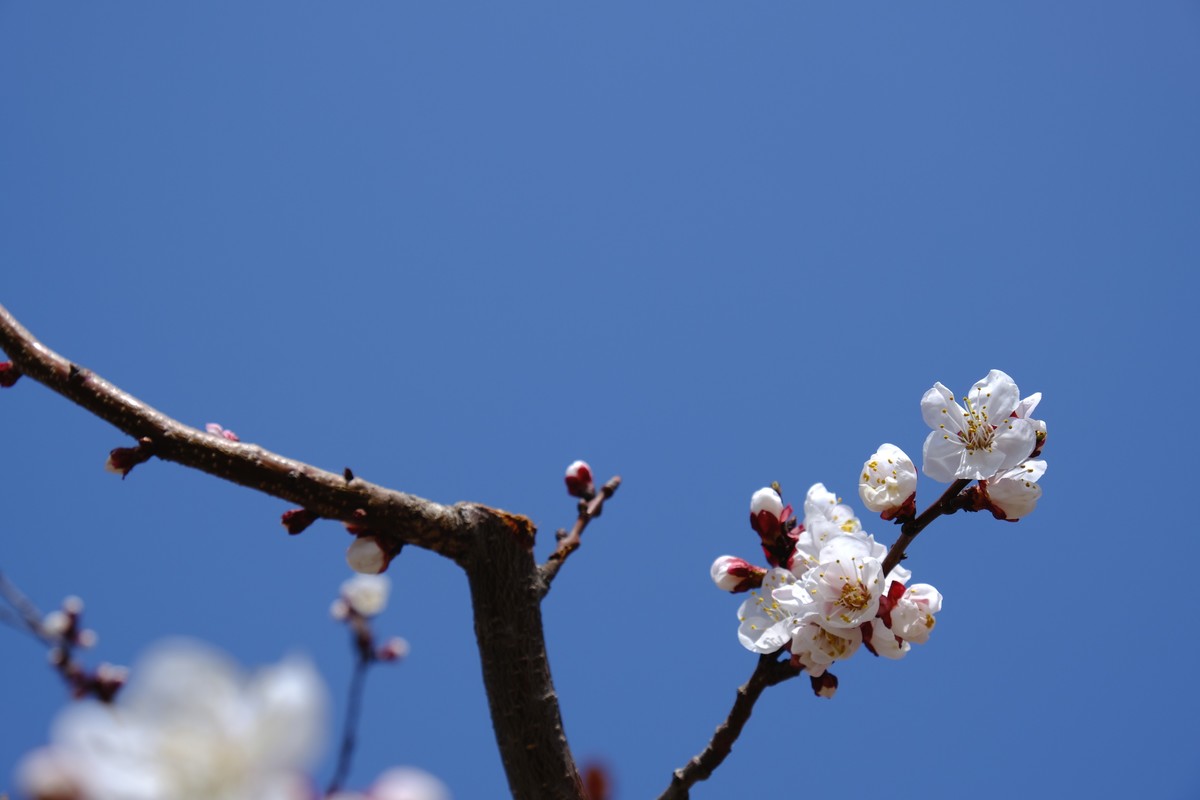 换机器了回来玩玩