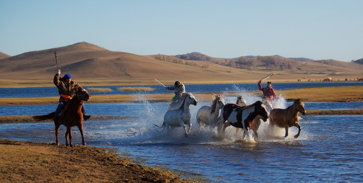 《 骏 马 奔 腾 》