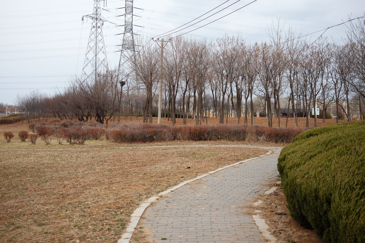 寻找春天的足迹