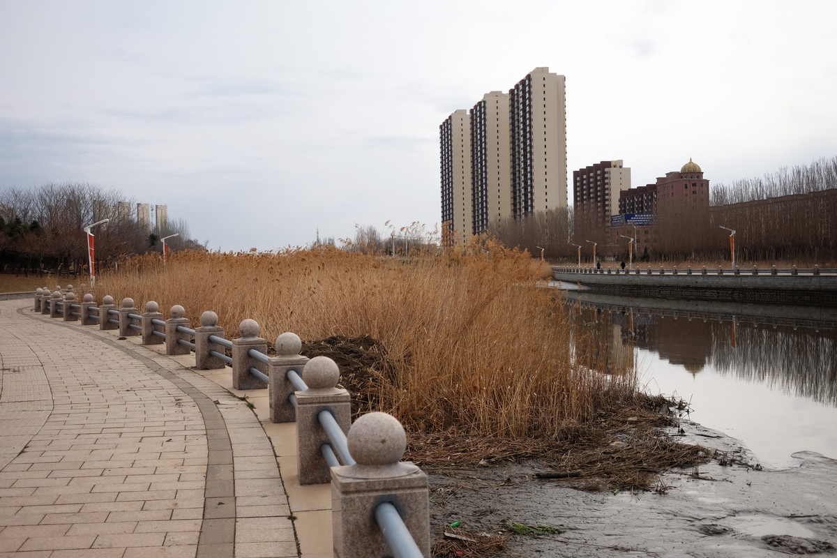 寻找春天的足迹