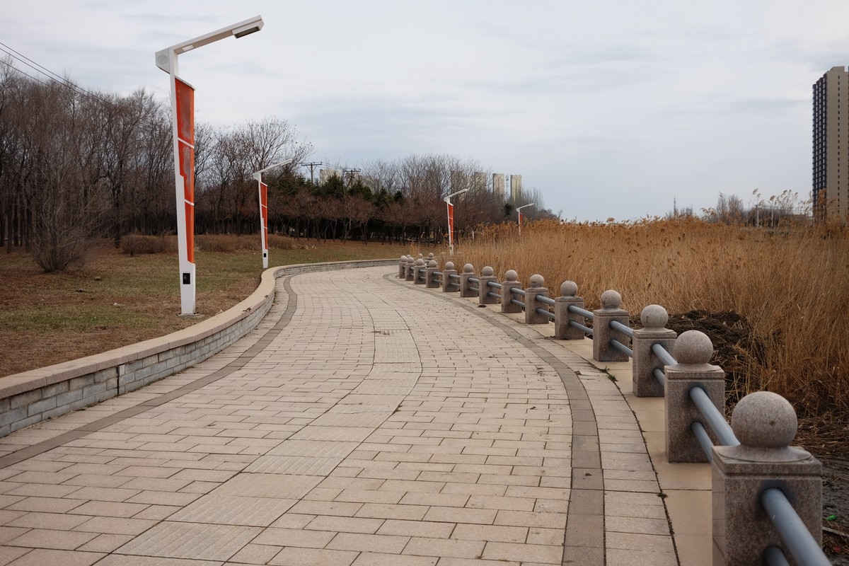 寻找春天的足迹