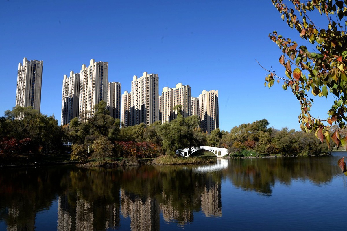 阳明公园秋色（完）