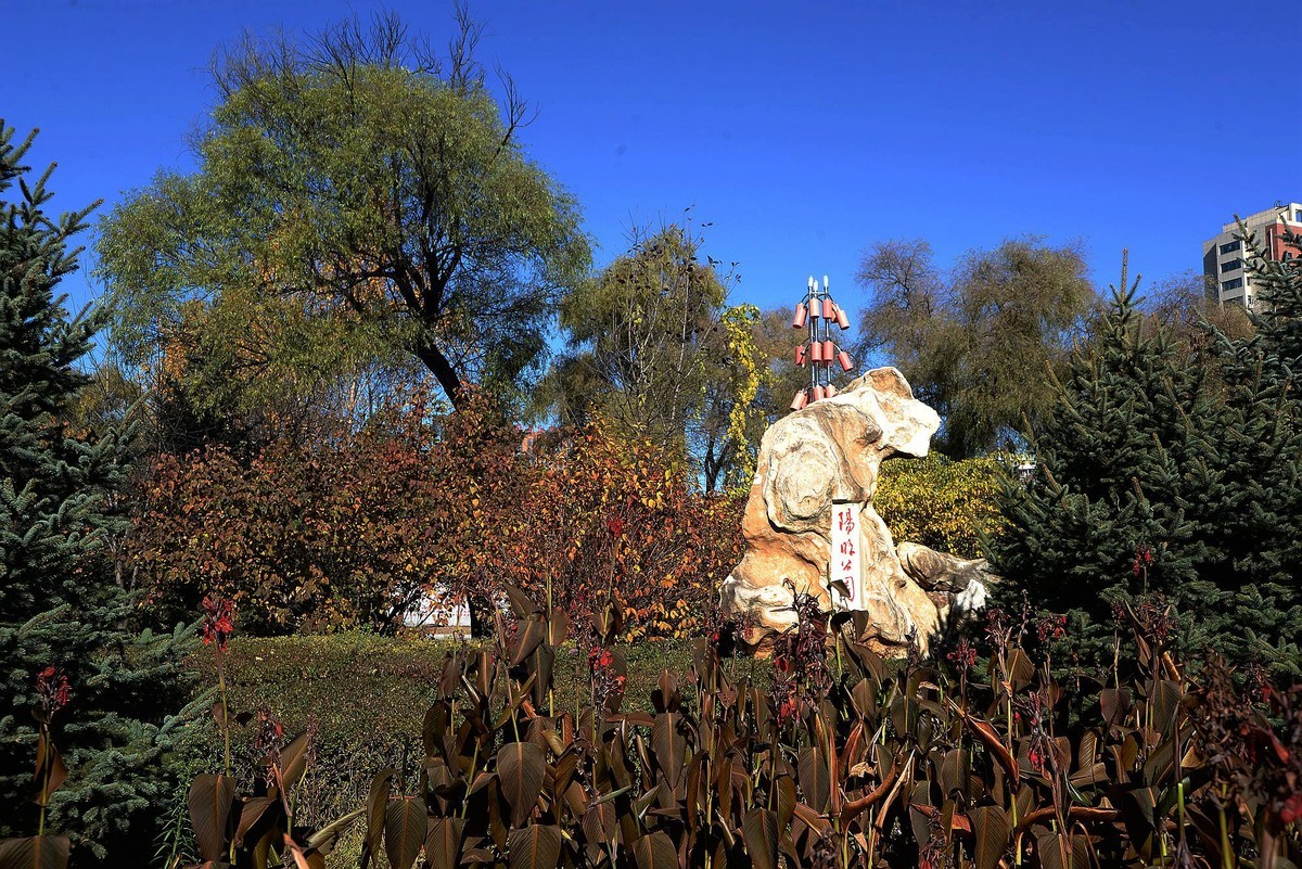 阳明公园秋色（完）