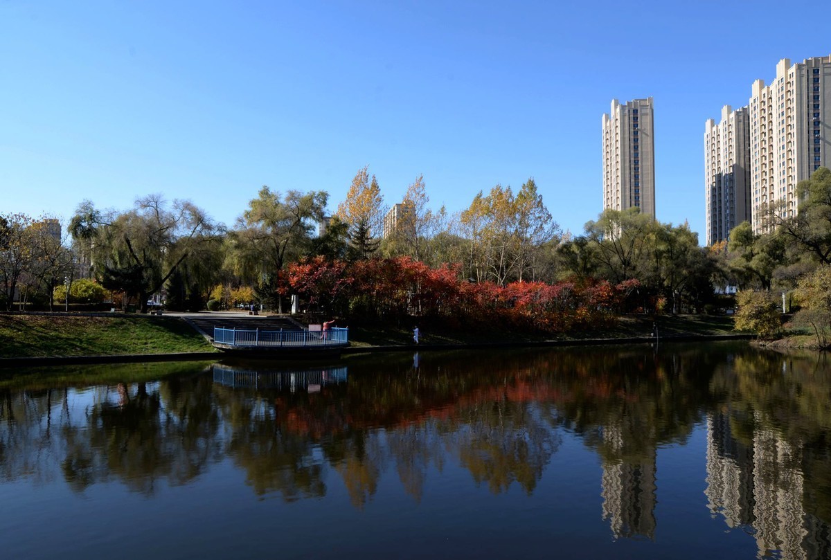 阳明公园秋色（完）