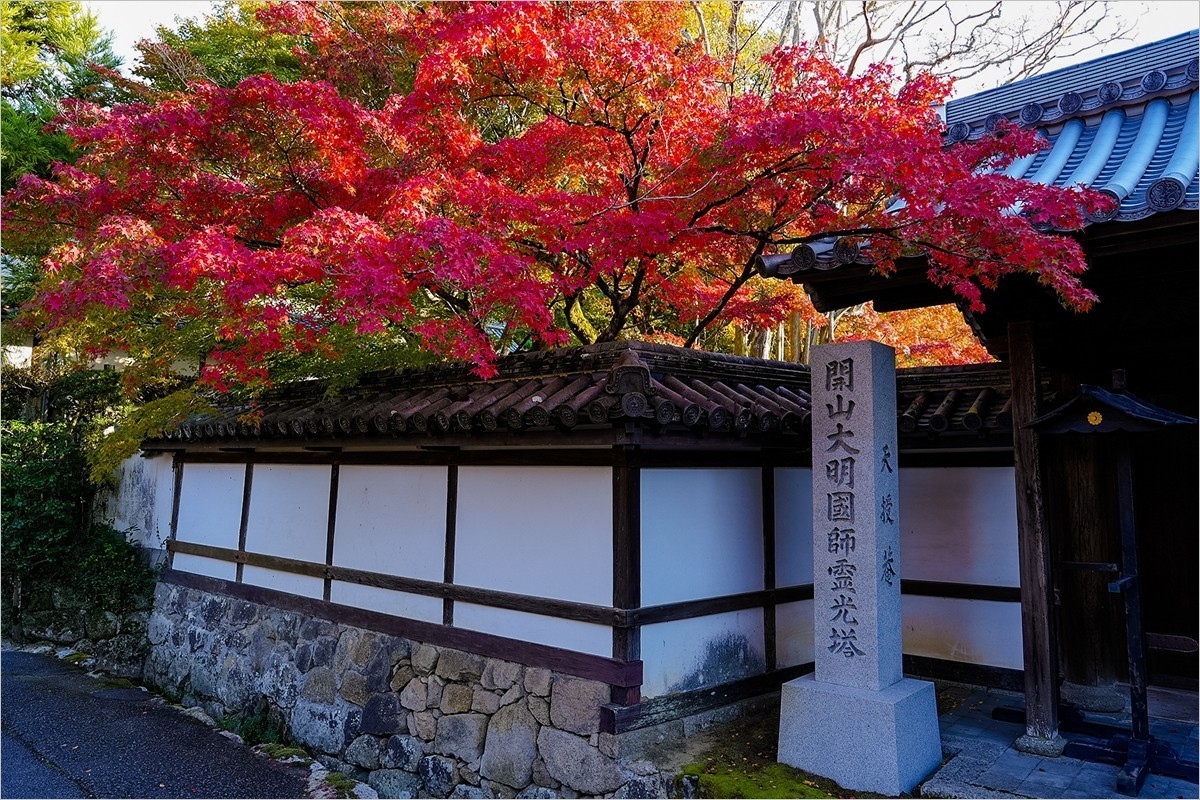 2025年第0006贴-京都南禅寺旅拍（0102）