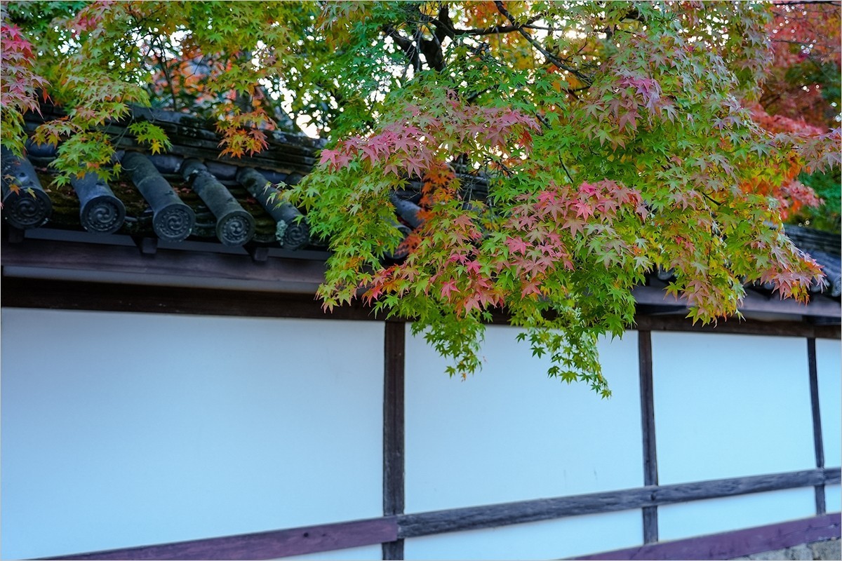 2025年第0006贴-京都南禅寺旅拍（0102）