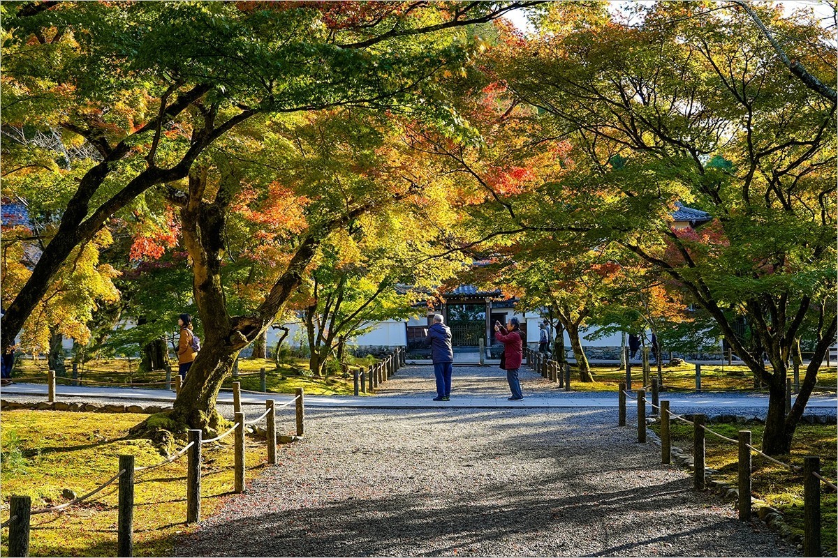2025年第0006贴-京都南禅寺旅拍（0102）