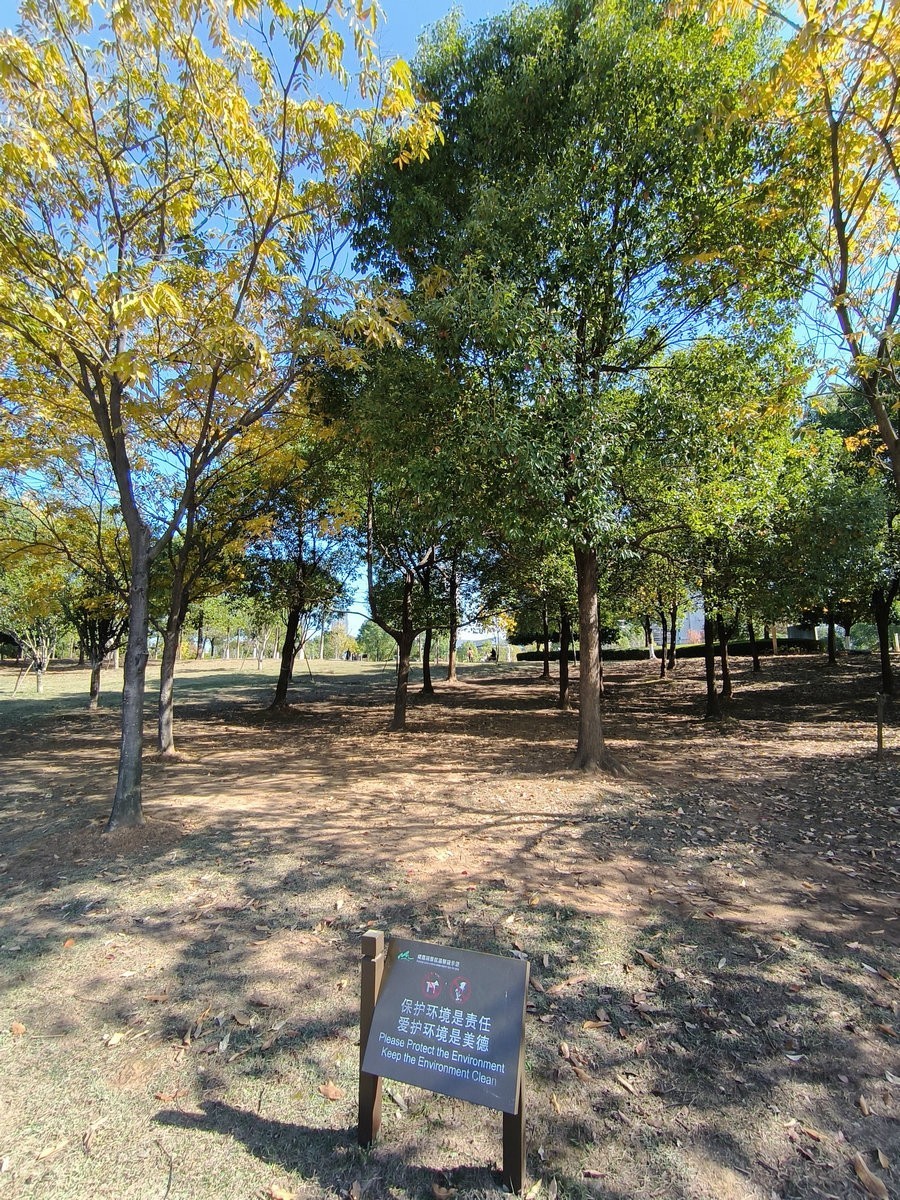 漫步星城 走街串巷（574）咸嘉湖景区