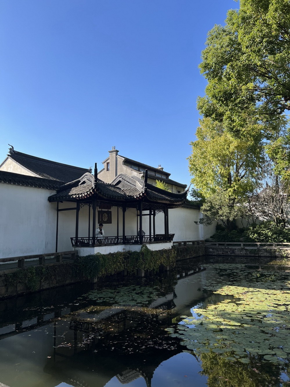 姑苏掠影 . 孙女随拍    1/2